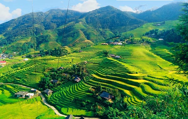 Bản Tả Phìn - sapa tourist - SBS Car Rental