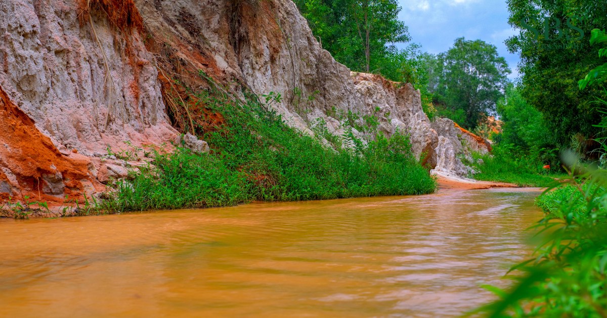 Du lịch Phan Thiết - Mũi Né - Suoi Tien - SBS Transport