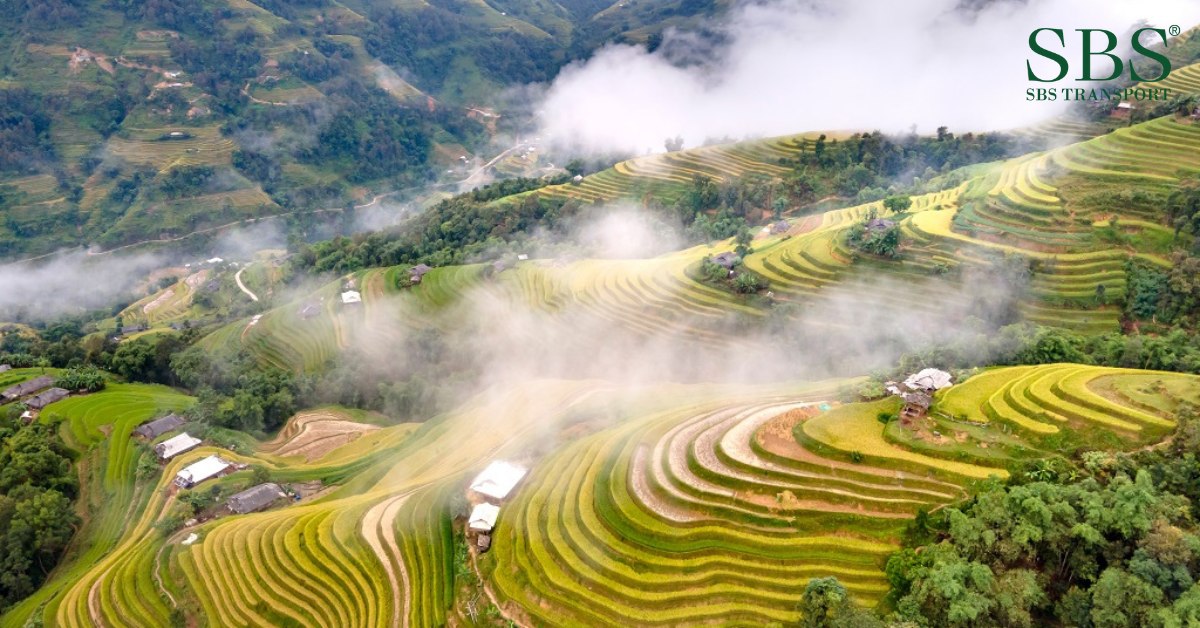 Kinh nghiệm du lịch Hà Giang từ A-Z - Hoàng Su Phì - SBS Transport